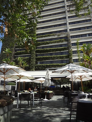 W Hotel.Westwood.35
