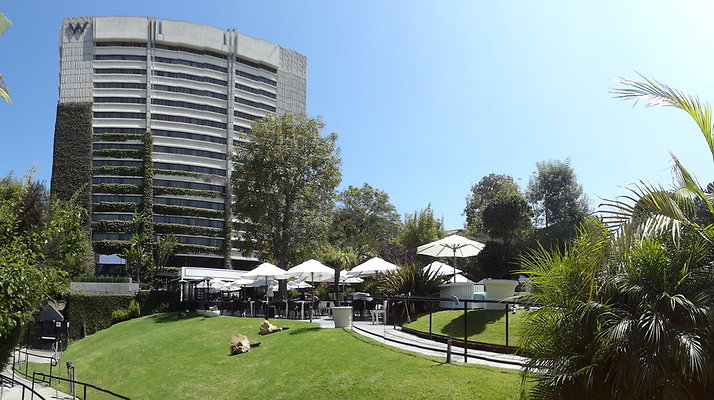 W Hotel.Westwood.49