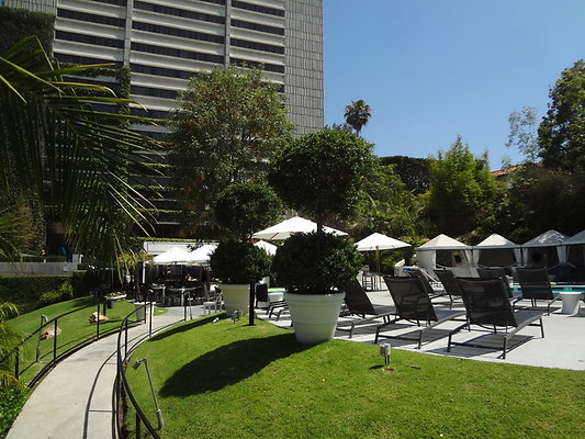 W Hotel.Westwood.50