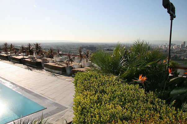 1100.Wil.Pool.33rd.FLR.03