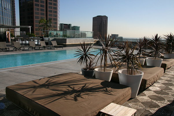 1100.Wil.Pool.33rd.FLR.13