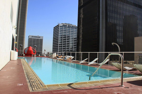 Standard.Rooftop.Pool.04