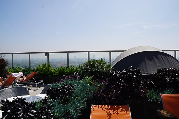 Andaz.Rooftop.Pool.Weho.18