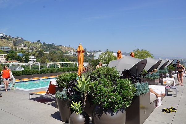 Andaz.Rooftop.Pool.Weho.35
