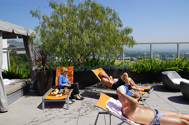 Andaz.Rooftop.Pool.Weho.16