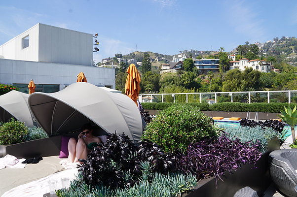Andaz.Rooftop.Pool.Weho.26