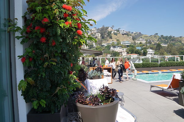 Andaz.Rooftop.Pool.Weho.34
