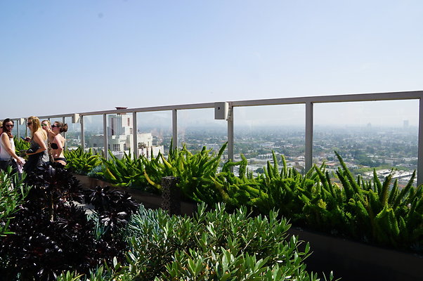 Andaz.Rooftop.Pool.Weho.40