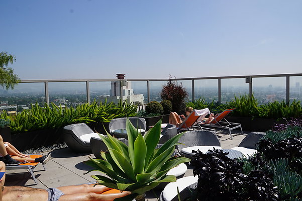 Andaz.Rooftop.Pool.Weho.17