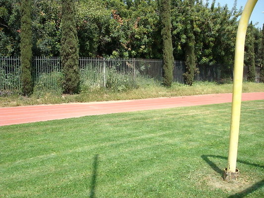 Ribet.Acad.Field.13