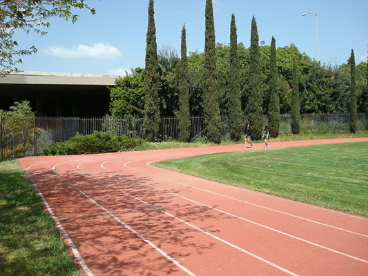 Ribet.Acad.Field.15