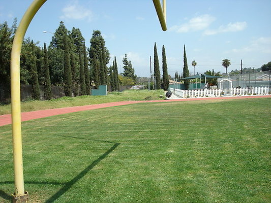 Ribet.Acad.Field.12