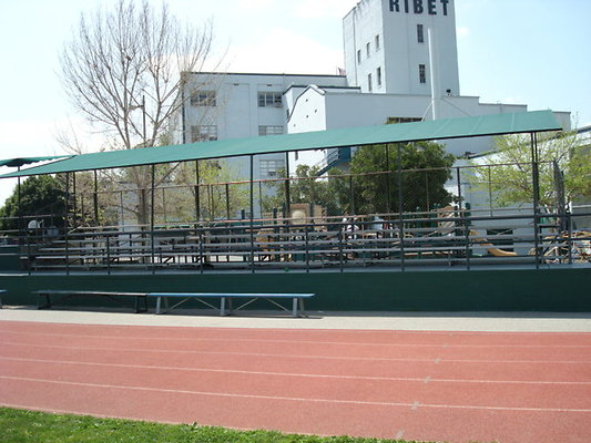 Ribet.Acad.Field.05