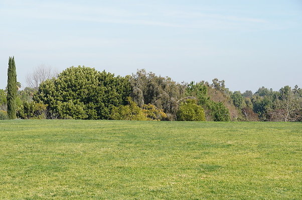 So.Coast.Bot.Upper.Meadow.13