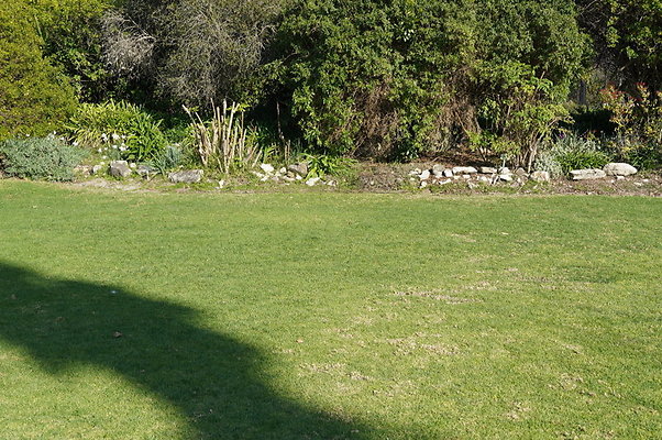So.Coast.Bot.Lower.Meadow.04