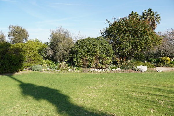 So. Coast Botanical.lower Meadow