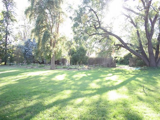 Thomann.BackYard.VN.02