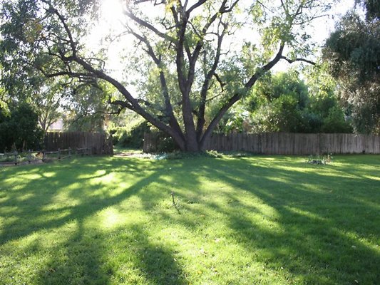 Thomann.BackYard.VN.01