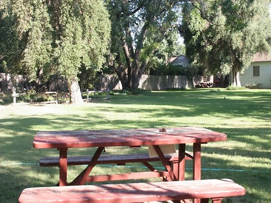 Thomann.BackYard.VN.20