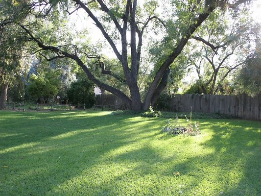Thomann.BackYard.VN.05