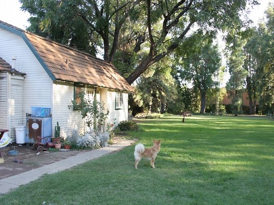 Thomann.BackYard.VN.23