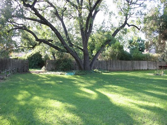 Thomann.BackYard.VN.06