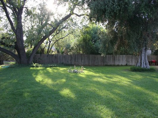 Thomann.BackYard.VN.08
