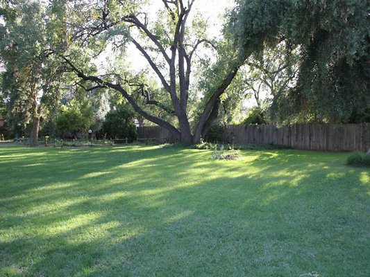 Thomann.BackYard.VN.04