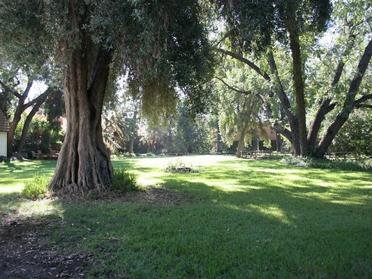 Thomann.BackYard.VN.09