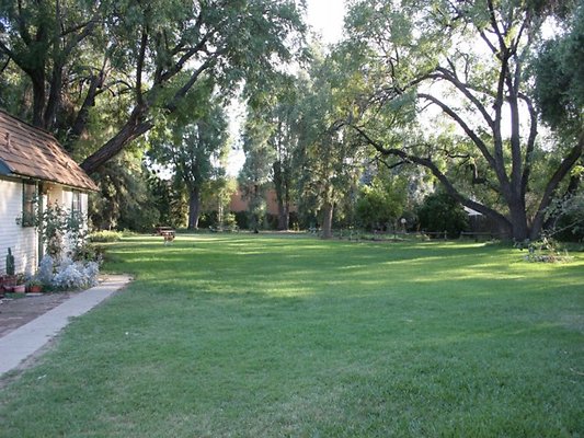 Thomann.BackYard.VN.22
