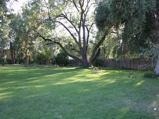 Thomann.BackYard.VN.24