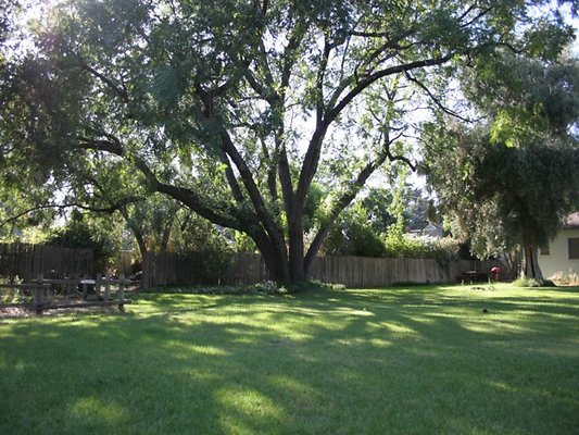 Thomann.BackYard.VN.07