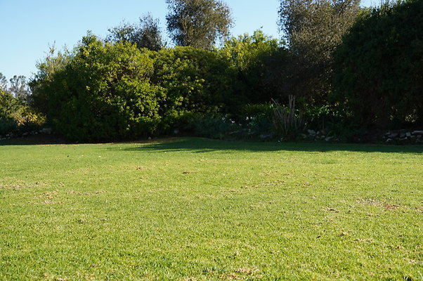 So.Coast.Grass.Lower.Meadow.04 So.Coast.Grass.Lower.Meadow.04