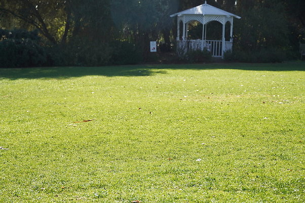 So.Coast.Grass.Lower.Meadow.09 So.Coast.Grass.Lower.Meadow.09