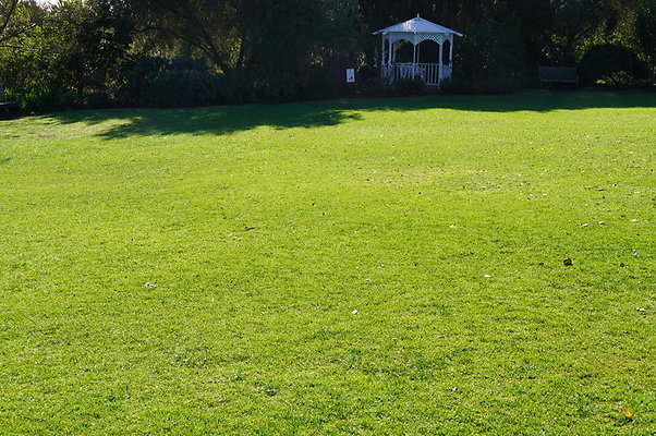 So.Coast.Grass.Lower.Meadow.19 So.Coast.Grass.Lower.Meadow.19