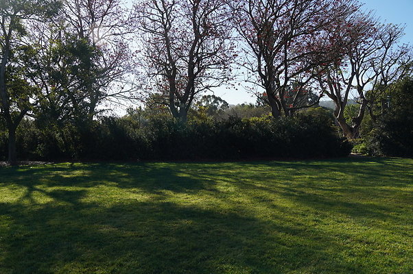 So.Coast.Grass.Upper.Meadow.47 So.Coast.Grass.Upper.Meadow.47