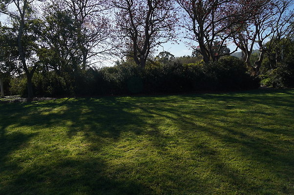 So.Coast.Grass.Upper.Meadow.44 So.Coast.Grass.Upper.Meadow.44