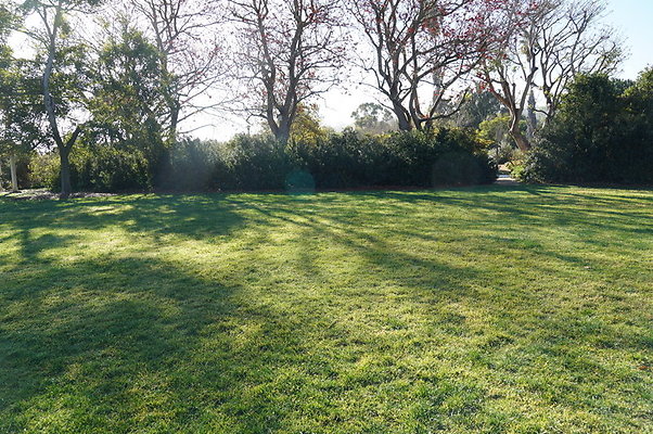 So.Coast.Grass.Upper.Meadow.40 So.Coast.Grass.Upper.Meadow.40