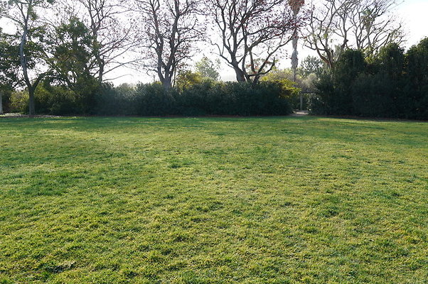 So. Coast Botanical Upper Meadow