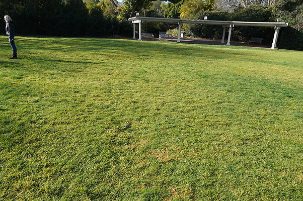 So.Coast.Grass.Upper.Meadow.22 So.Coast.Grass.Upper.Meadow.22