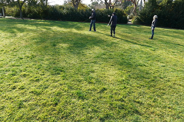 So.Coast.Grass.Upper.Meadow.21 So.Coast.Grass.Upper.Meadow.21