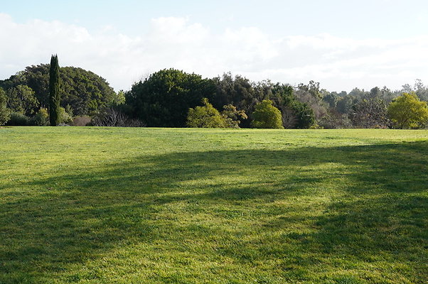 So.Coast.Grass.Upper.Meadow.27 So.Coast.Grass.Upper.Meadow.27