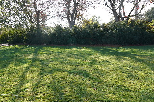 So.Coast.Grass.Upper.Meadow.23 So.Coast.Grass.Upper.Meadow.23