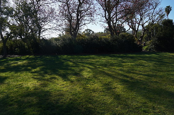 So.Coast.Grass.Upper.Meadow.45 So.Coast.Grass.Upper.Meadow.45