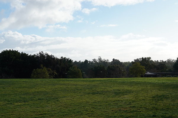 So.Coast.Grass.Upper.Meadow.06 So.Coast.Grass.Upper.Meadow.06