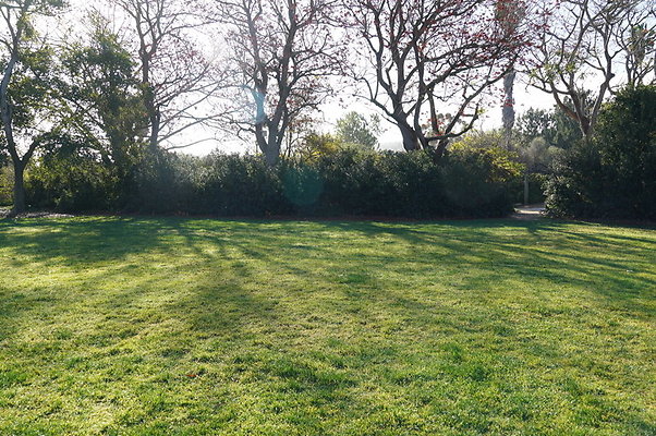 So.Coast.Grass.Upper.Meadow.30 So.Coast.Grass.Upper.Meadow.30