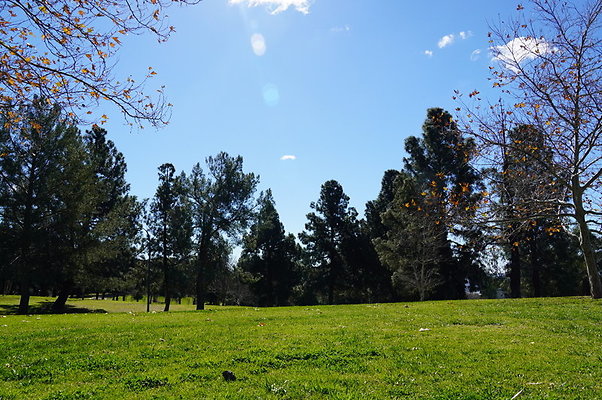 Vets.Park.Sylmar.Grass.05