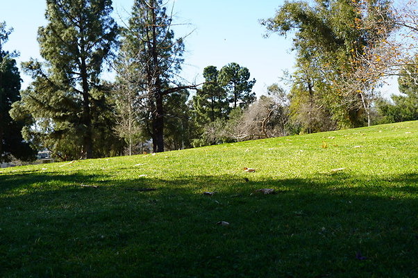 Vets.Park.Sylmar.Grass.20
