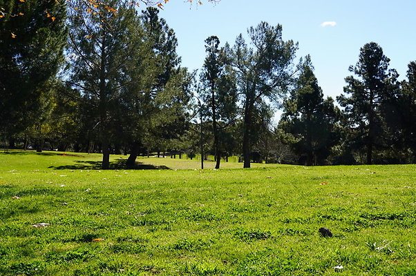 Vets.Park.Sylmar.Grass.07