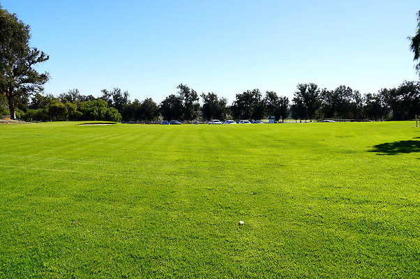 Will Rogers SP Grass Area